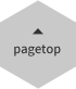 pagetop