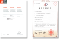 国内、海外（アメリカ、EU、中国）の特許登録
